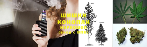 PSILOCYBIN Надым