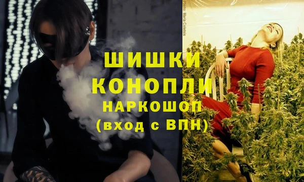 СК Навашино